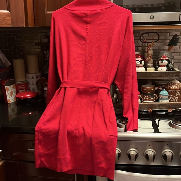 Anthropologie sweater dress - Picture 5 of 5